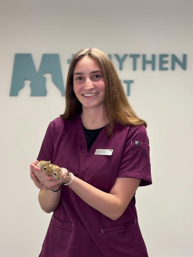 Tierarztpraxis Schwyz Alina Henggeler