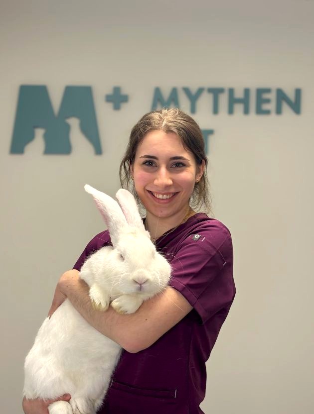 Tierarztpraxis Schwyz Julia Birrer