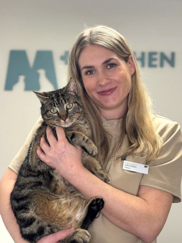 Tierarzt Schwyz Dr. med. vet. Julia Ginders